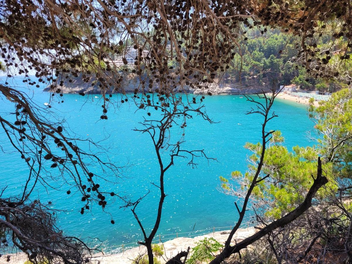 Villetta Roberto Le Macine Di Charme - Pugnochiuso Resort ヴィエステ エクステリア 写真